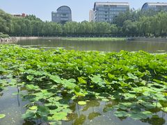 -中国农业博物馆