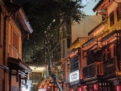 -南山植物园