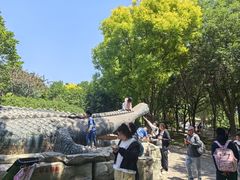 -石家庄市动物园