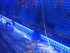 -五月罗马海鲜烤肉自助餐厅(印象城店)