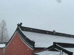 -溪口-滕头旅游景区