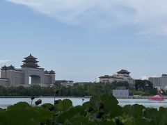 -莲花池公园