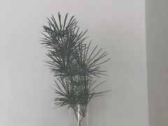 -Eu2+ coffee(上大路店)