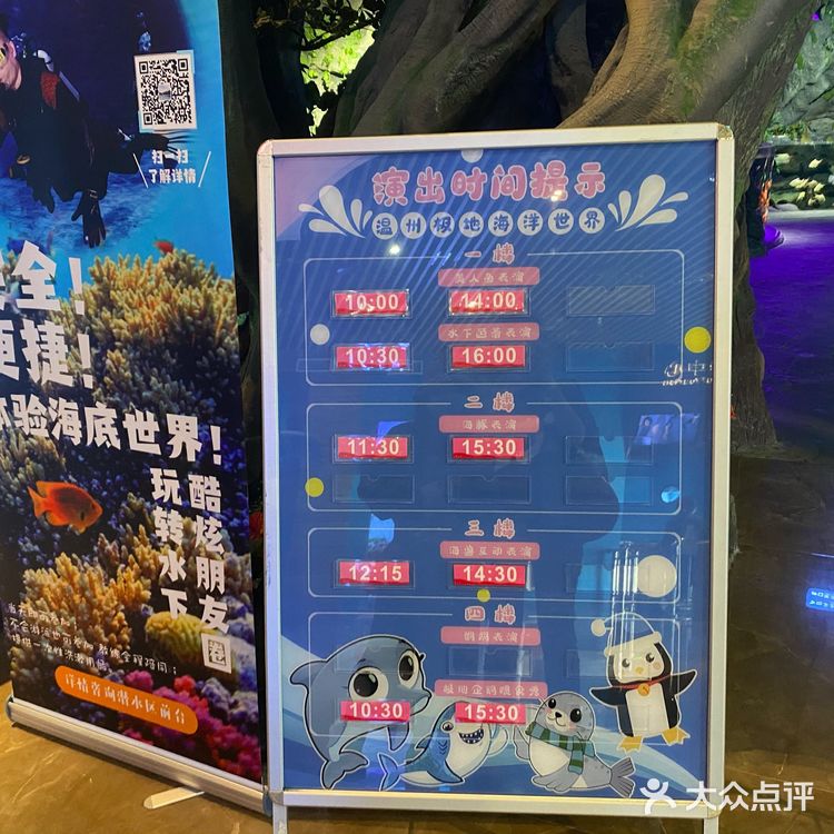 五一去哪玩|温州极地海洋世界 太太太可爱啦!