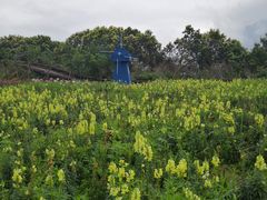 -广州市流溪河国家森林公园