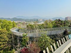 -福道