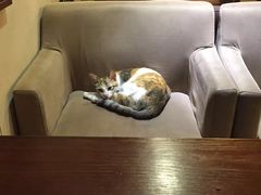 -看书吧(体育东横路店)
