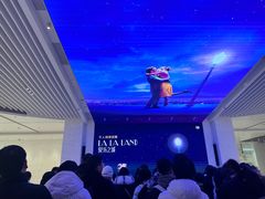 -浣熊唱片店(上海影城店)