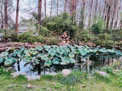-林间山庄