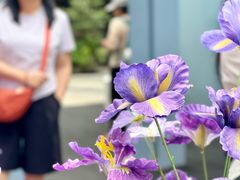 -中航城君尚购物中心
