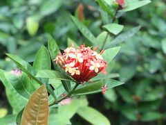 -人民公园(罗湖区)