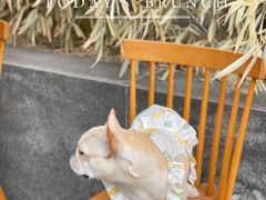 -the rug 飞毯 (朝阳公园店)