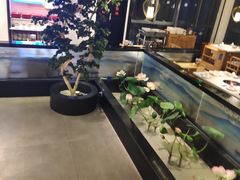 -俏牛哥鲜牛肉牛肆馆(重庆天地店)