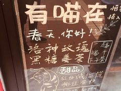 -猫咪博物馆(顶澳仔猫街店)