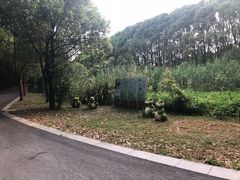 -同里国家湿地公园