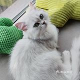 回眸一笑百媚生～[色]