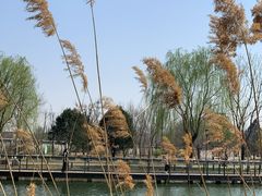 -石家庄市植物园