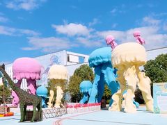 -芜湖新华联大白鲸海洋公园