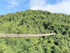 -亚龙湾热带天堂森林公园