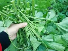 -凤来栖·净庭院·火锅(欧尚店)