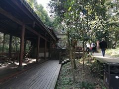 -凤栖山
