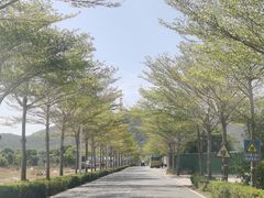 -无锡城中皇冠假日酒店·芳园中餐厅