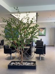 -付军剪艺JF ProSalon