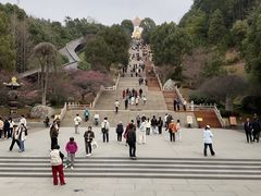-庐山风景名胜区-东林大佛