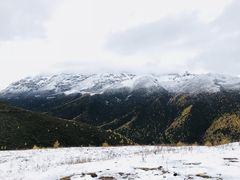 -亚拉雪山风景区