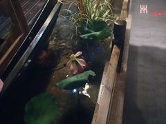 -秀水人家