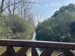 -上海滨江森林公园