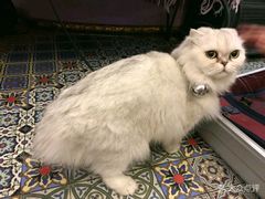 -广州迷途主题旅馆(海珠广场店)