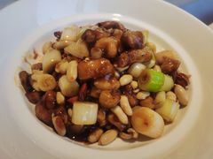 普通宫保鸡丁-大鸭梨烤鸭(枣园店)