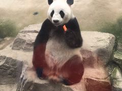 -中国甲午战争博物院