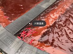 -融汇温泉