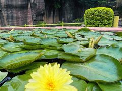 -广州莲花山旅游区