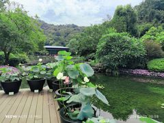 -云溪植物园