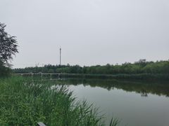 -西青郊野公园