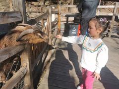 -北京鹿世界主题园