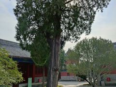 -大钟寺古钟博物馆