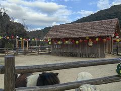 -龙岩森林水乡景区