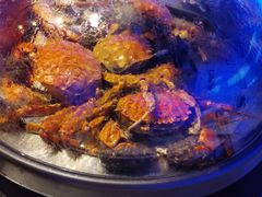 -乔哥铭洋海鲜自助(皇城恒隆广场店)