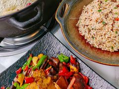 -蘑统田下·野生菌火锅