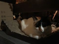 -江湖边·小生活