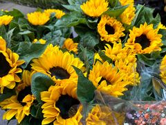 -循礼门鲜花花市(武汉循礼门店)