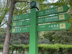 -长白岛森林公园