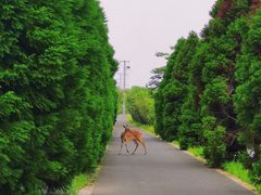 -苏州太湖国家湿地公园