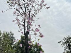 -新兴家喻酒家·羊城名宴(昌岗店)