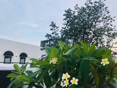 -素心小筑(后沙裕镇店)