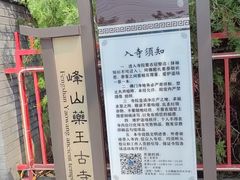 -天津市峰山药王古寺